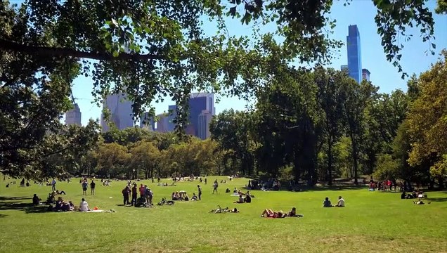 FASHIONABLY IN LOVE Trailer (2022) Celeste Desjardins