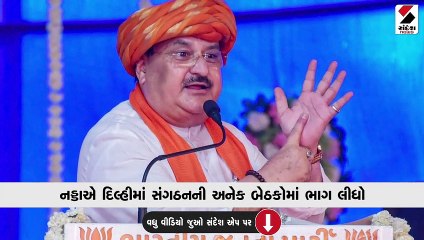 ચૂંટણીમાં ફરી BJPનો ઝંડો લહેરાવવા નડ્ડા એક્શન મોડમાં, રોડમેપ તૈયાર