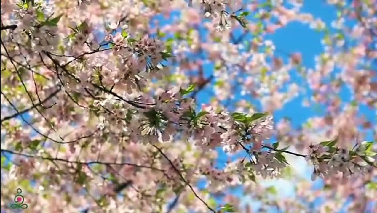 Musique relaxante qui guérit le stress, l'anxiété et les états dépressifs, guérit l'esprit