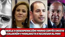 ¡Huele a desesperación! Marko Cortés invita a Calderón y Margarita a regresar al PAN
