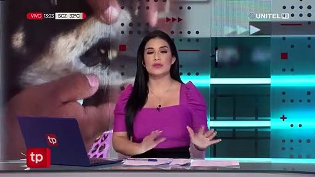 Vecinos de Sacaba denuncian maltrato animal tras la aparición de mascotas sin dientes