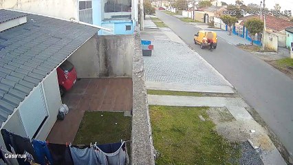 Casinha de cachorro que foi furtada é devolvida com pedido de desculpas