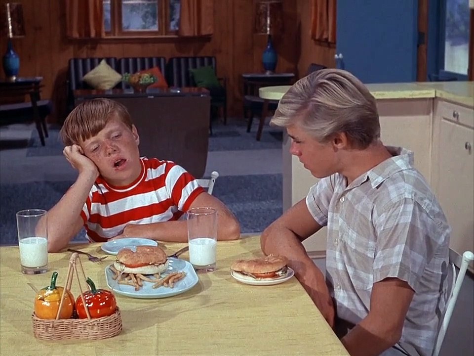 Flipper Staffel 1 Folge 13 HD Deutsch