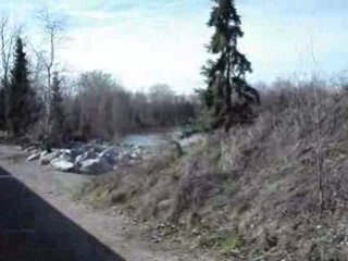 blanche neige et les 7 nains