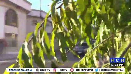 Juzgado de Letras admite requerimiento fiscal contra pastora Sandra Godoy acusada por robo de herencia