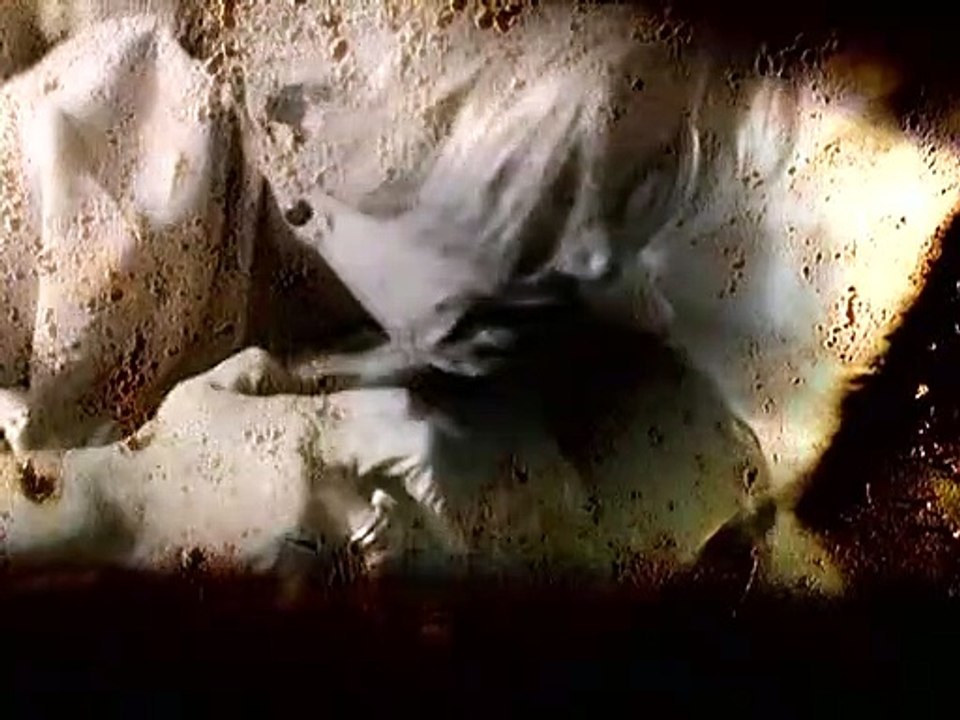 Profiler Staffel 1 Folge 6 HD Deutsch