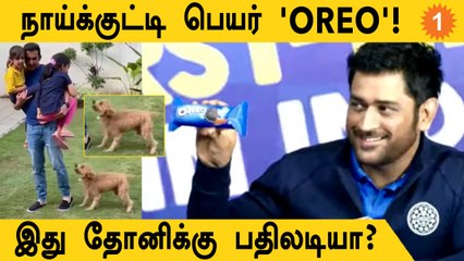 Dhoni-ஐ சீண்டுகிறாரா Gambhir? Instagram-ல் Oreo Dog Video வெளியீடு | *Cricket