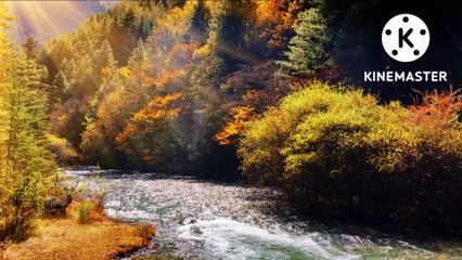 Super Meditation Music For Open Sacend chakra