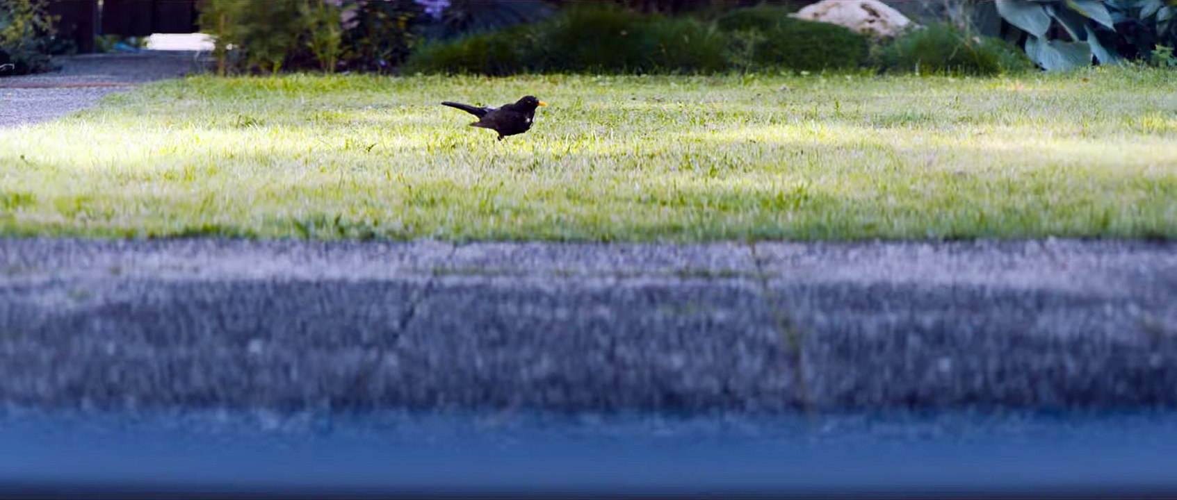 DA KOMMT NOCH WAS Film