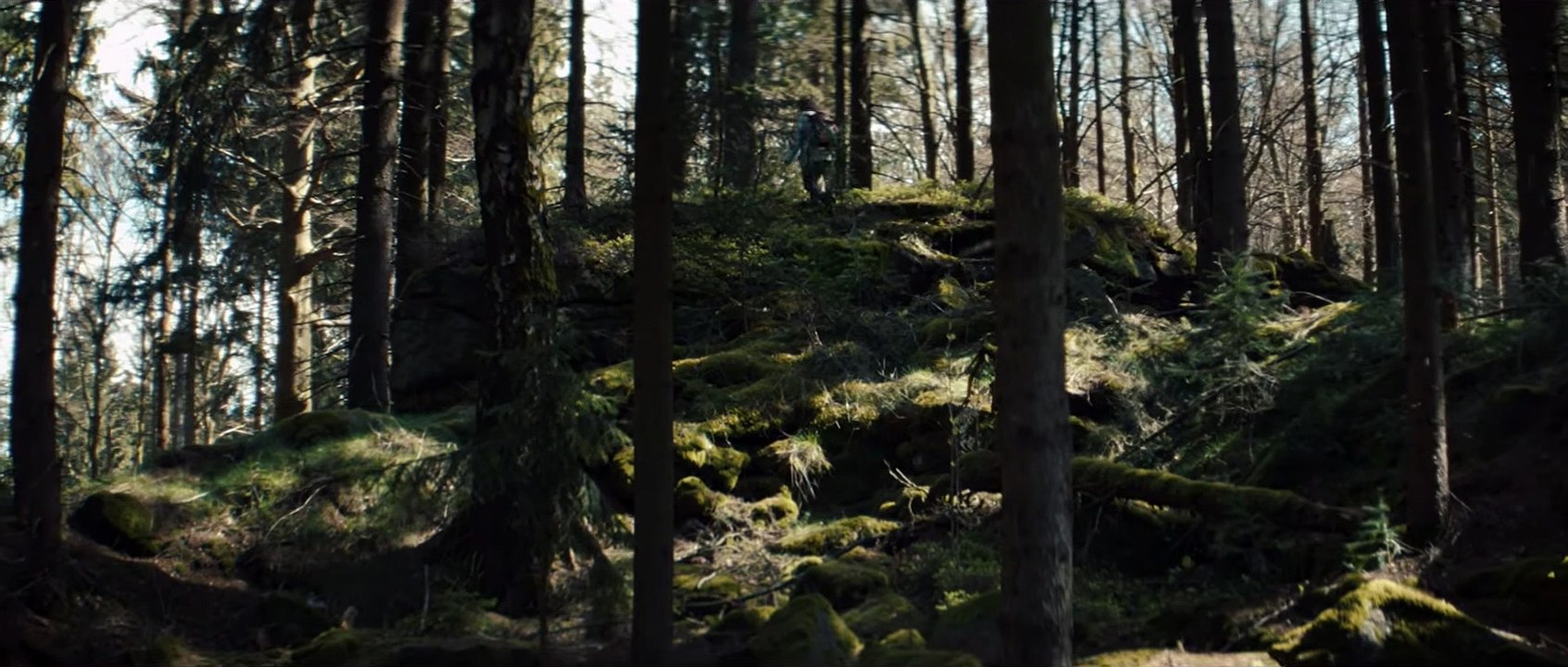 SCHWEIGEND STEHT DER WALD Film