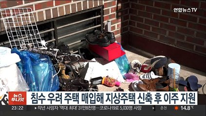 침수 우려 주택 매입해 지상주택 신축 후 이주 지원