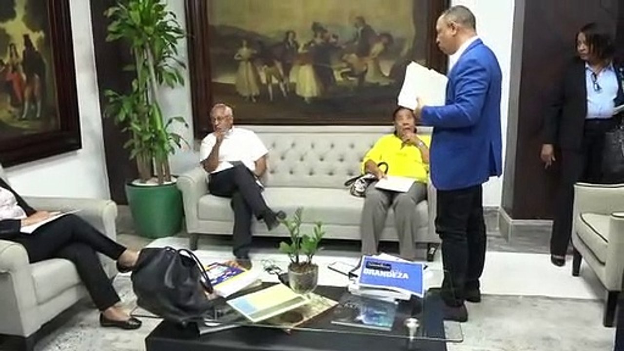 El Minerd explica qué pasó con diputados