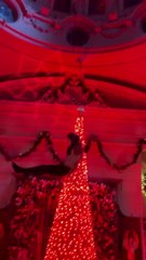 Cancelled Batgirl Movie (Behind The Scenes) [Christmas Tree Fight Sequence]