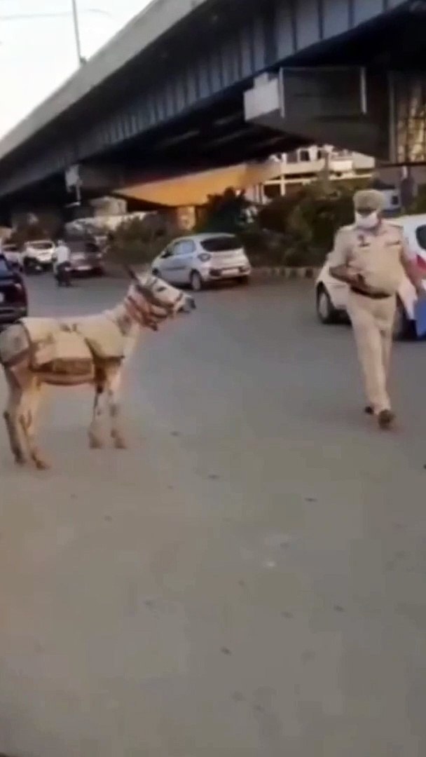 Top Comedy Videos, Comedy Video, Funny Video,