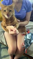 Cute pat viral fun clips, comady videos