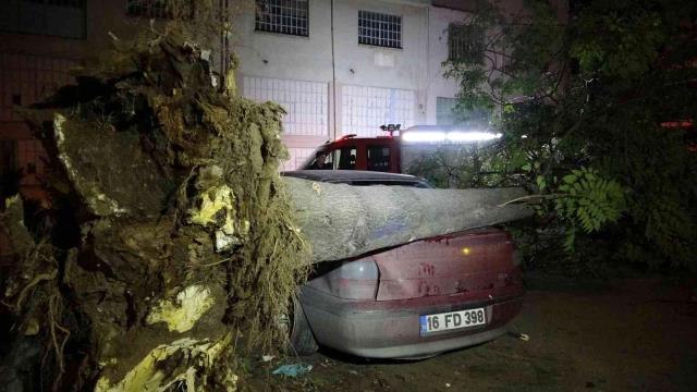 Bursa haberleri! Bursa'da ağaç park halindeki 3 otomobilin üzerine devrildi