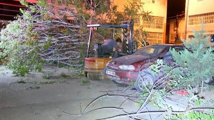 BURSA'DA KÖKÜ SÖKÜLEN AĞAÇ 3 OTOMOBİLİN ÜSTÜNE DEVRİLDİ