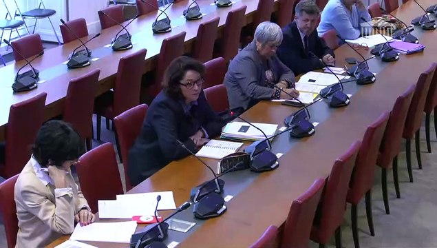 Entreprises pétrolières et gazières : CMA-CGM : M. Rodolphe Saadé, président directeur général, M. Michel Sirat, directeur financier groupe et M. Benoit Tournebize, directeur de cabinet - Mardi 27 septembre 2022