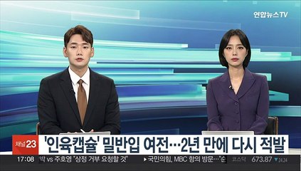 '인육캡슐' 밀반입 여전…2년 만에 다시 적발