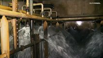 Possível escassez de água nos Países Baixos