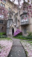 Autumn | Flowers | Sakura | Nature
