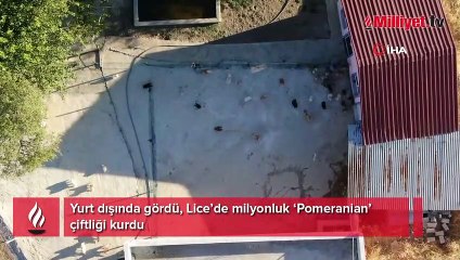 Yurt dışında gördü, Lice’de milyonluk ‘Pomeranian’ çiftliği kurdu