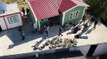 Son dakika haber: Tekirdağ'da çiftlik evine uyuşturucu operasyonu: 9,2 kilo esrar ele geçirildi, 4 kişi tutuklandı