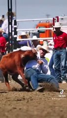 Nice doggin’ run at Strathmore Pro Rodeo 2022