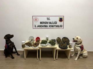 Son dakika haberi | MERSİN'DEKİ UYUŞTURUCU OPERASYONUNDA 1 TUTUKLAMA