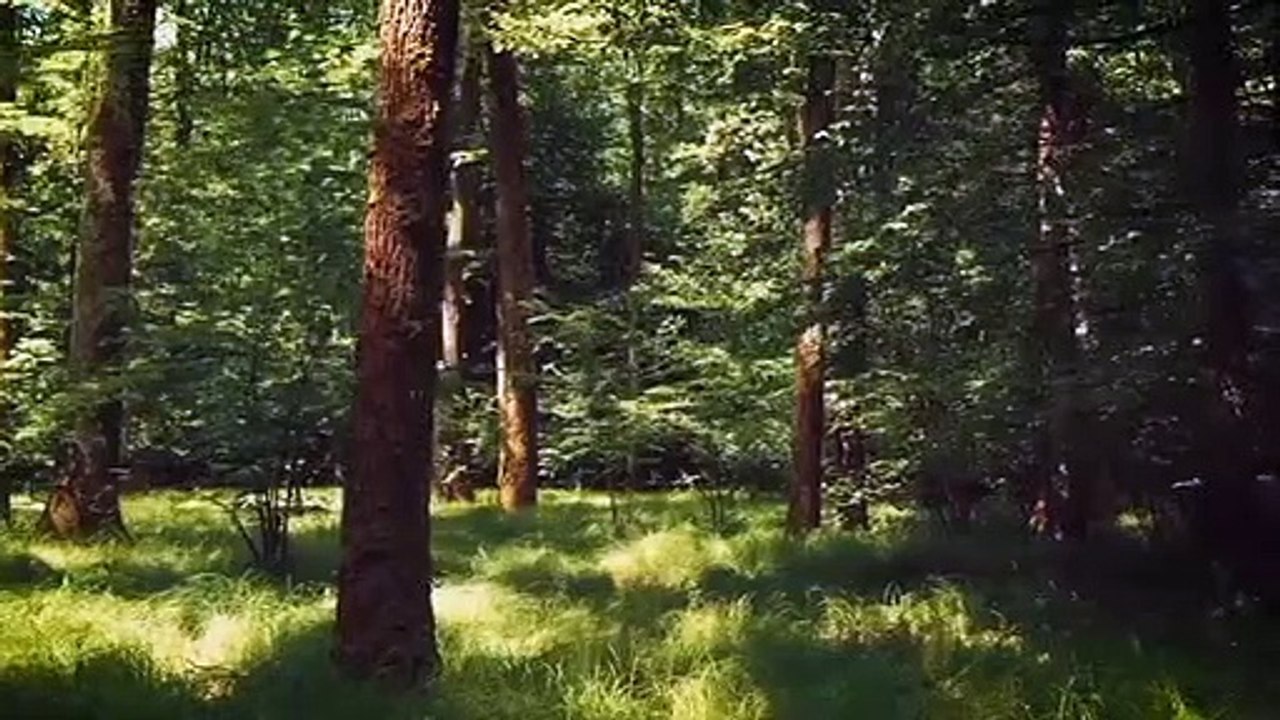 एक मेंढक तथा सांप की कहानी जो हमें जीवन में बहुत बड़ी सीख देती है। Cute Motivation