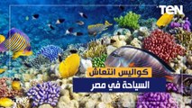 ارتفاع بنسبة 85.4 % .. كواليس انتعاش السياحة في مصر