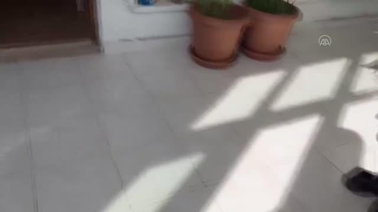 Patlamış mısır kutusunda uyuşturucu satan zanlı tutuklandı