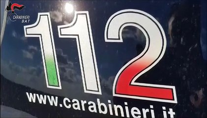 Trinitapoli, scoperte e sequestrate oltre 250 piante di cannabis