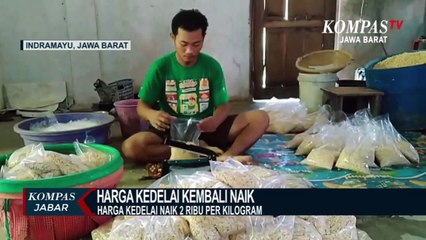 Download Video: Perajin Tempe Terpaksa Kecilkan Ukuran Dan Naikkan Harga