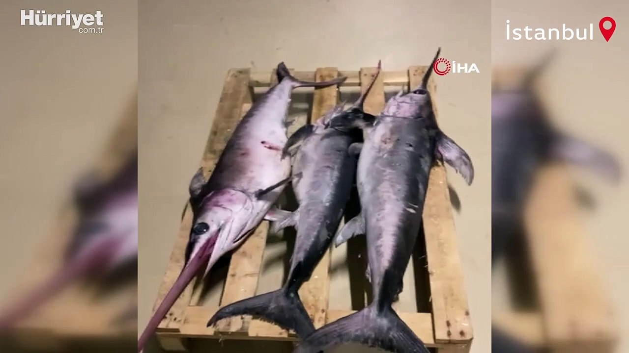 Gürpınar Su Ürünleri Hali’nde denetim: 1 ton balığa el konuldu