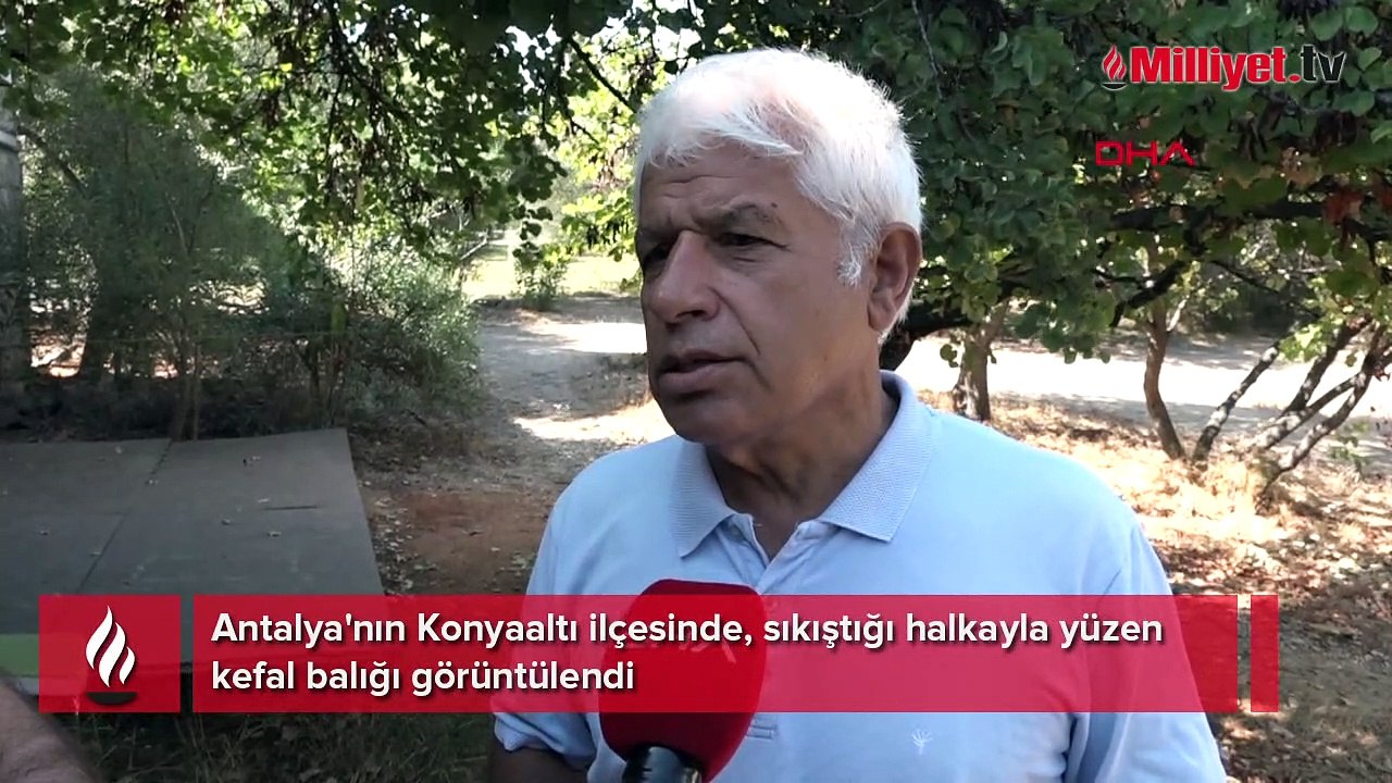 Kefalin kaderi plastik halka