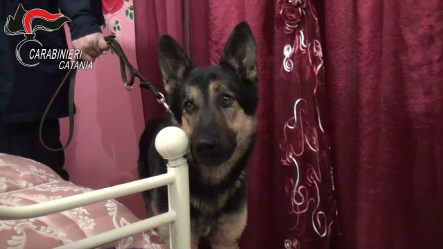 Colpo alla famiglia mafiosa Santapaola-Ercolano, 30 arresti