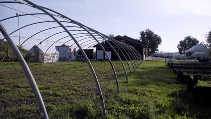 Ass. AAIS onlus Fattoria Sociale