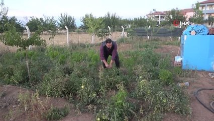 Resim tutkusu doğayla bütünleştirdi