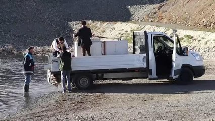 Kırklartepe Barajı'na 232 bin sazan yavrusu bırakıldı