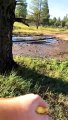 Jeep Slides Through Mud and Crashes Into Tree