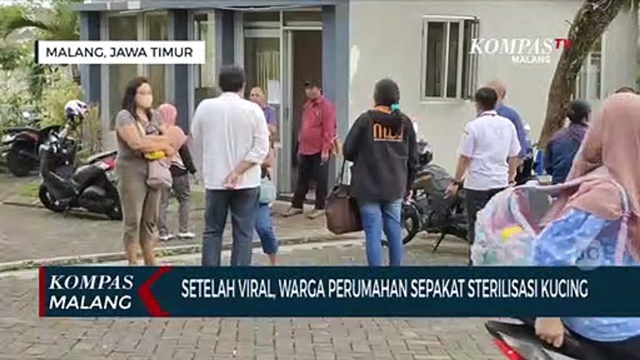 Setelah Viral, Warga Perumahan dan Pecinta Kucing Sepakat Sterilisasi Kucing