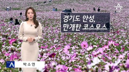 [날씨]내일 맑고 낮더위 계속…출근길 안개 주의