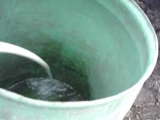 le bidon d'eau des pouliches