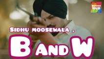 B AND W ( BLACK AND WHITE )| Sidhu moosewala new latest punjabi song