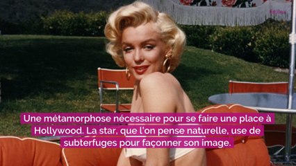 Marilyn Monroe : son visage transformé par la chirurgie esthétique… Voici à quoi elle ressemblait avant ces opérations qu’elle a cachées