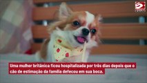 Mulher é hospitalizada após cão de estimação defecar em sua boca