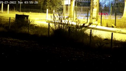 Mersin'de bekçinin teröristlere müdahalesi kamerada