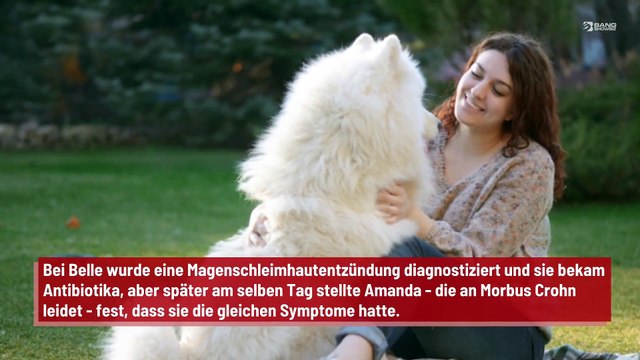 Kot ihres Hundes landet im Mund der Besitzerin