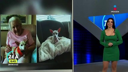 Abuelita adopta un perrito de avanzada edad